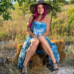 Sundress